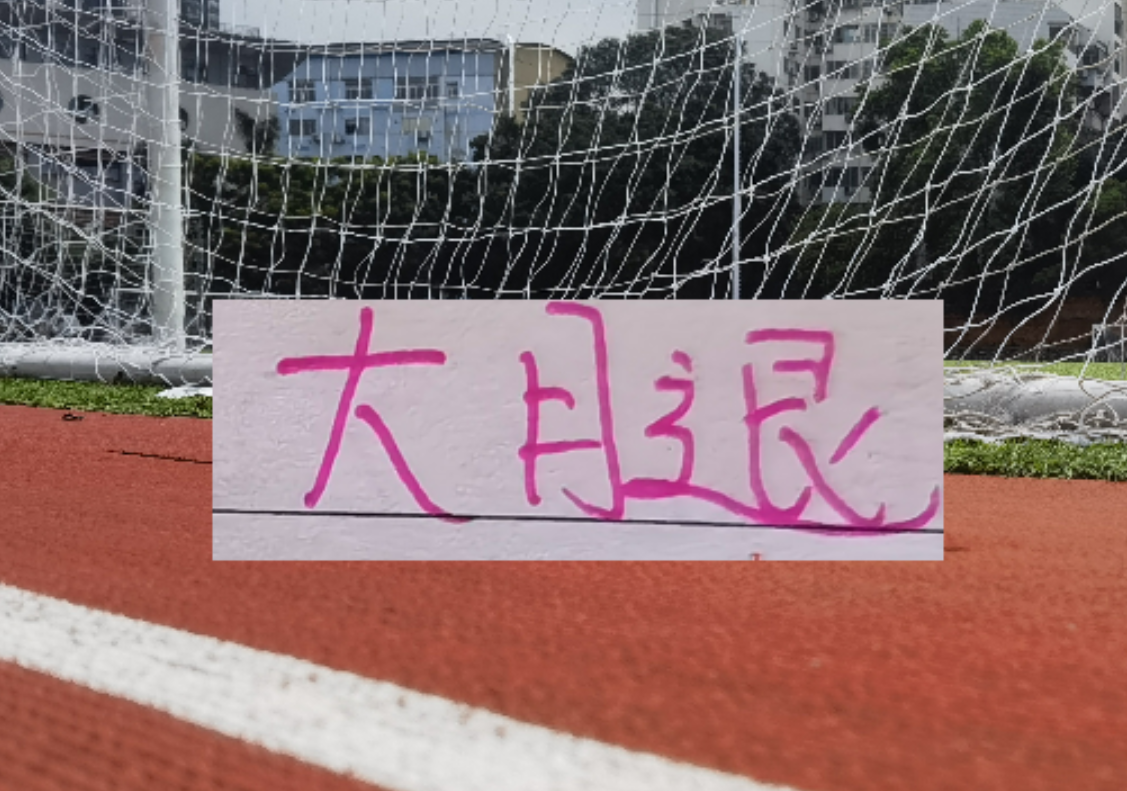 开云服务-海港也是少有一个赛季引进2个非洲外援 安佩姆会是丐版巴尔加斯吗